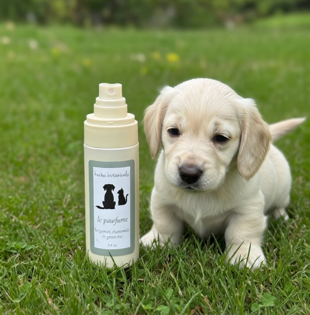 natural pet spray
